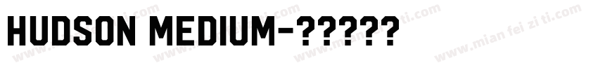Hudson Medium字体转换